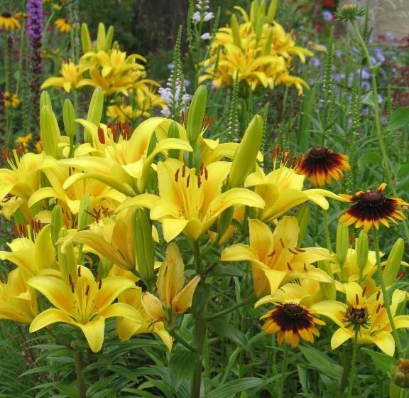 تختخواب و صبحانه Willa Pod Aniołem