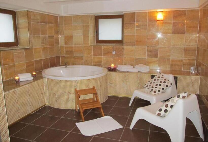 مبيت وإفطار Willa Pod Gwiazdami & Spa