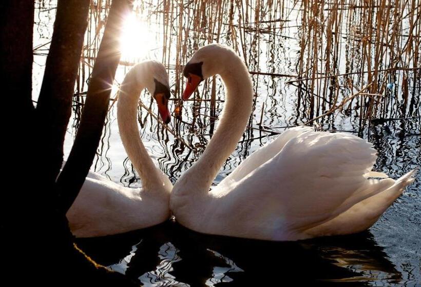 צימר Willa Szara Sowa