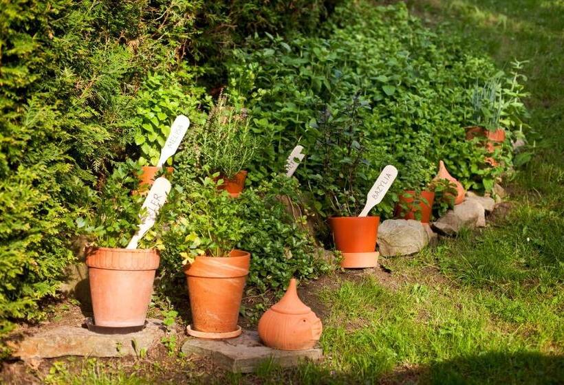 住宿加早餐  Willa Trela