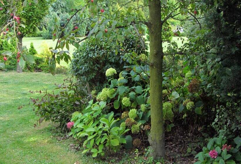 مبيت وإفطار Willa W Ogrodzie