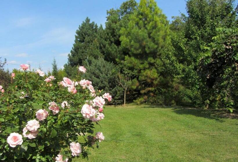 مبيت وإفطار Willa W Ogrodzie