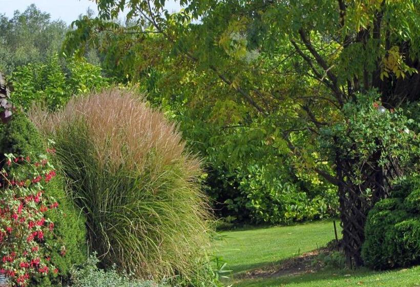 مبيت وإفطار Willa W Ogrodzie