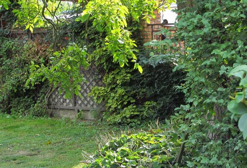 مبيت وإفطار Willa W Ogrodzie