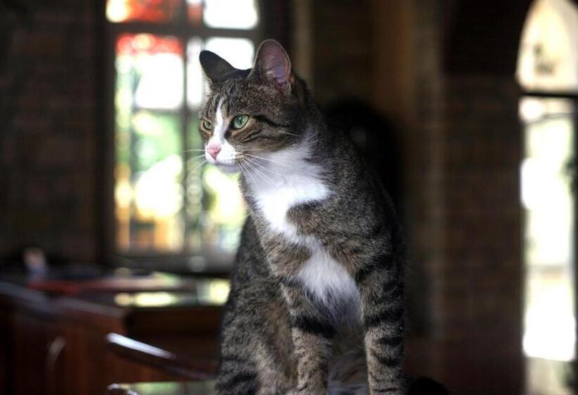 Bed and Breakfast Willa Zuzanna