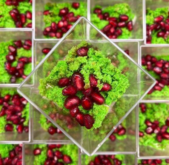 Hostel Międzynarodowe Centrum Spotkań Młodzieży