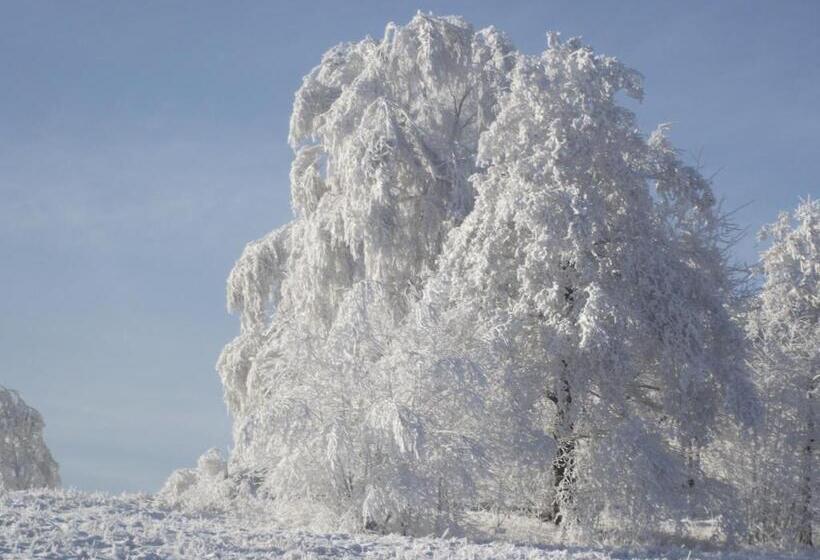 בית מלון כפרי Agroturystyka  żabi Dołek