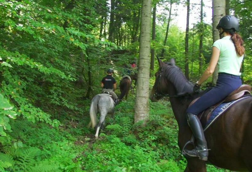 فندق Dwór Maria Antonina