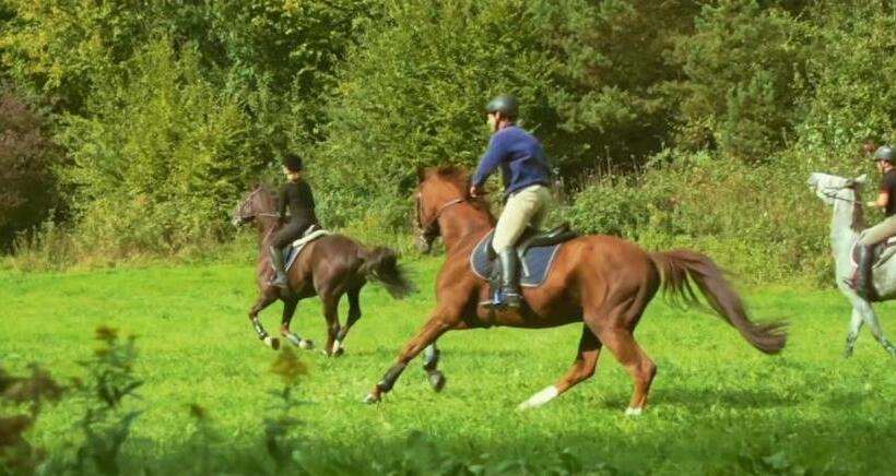 فندق Dwór Maria Antonina