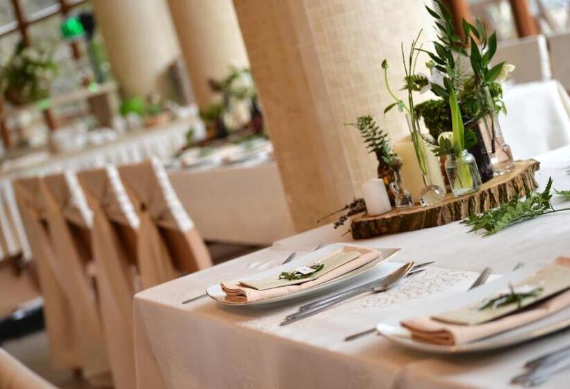 酒店 Europa Górnicza Strzecha