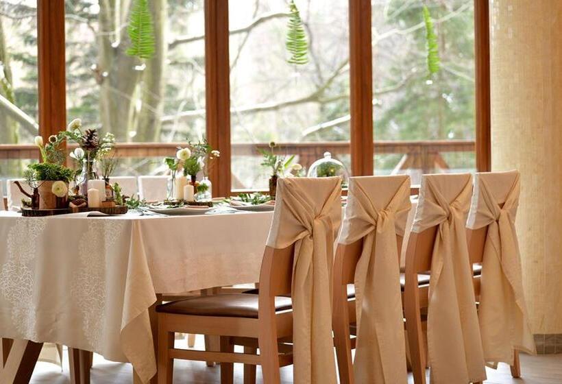 酒店 Europa Górnicza Strzecha