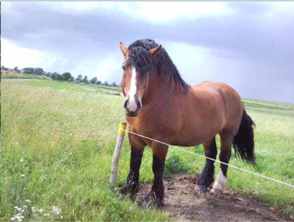 Отель Fajne Miejsce