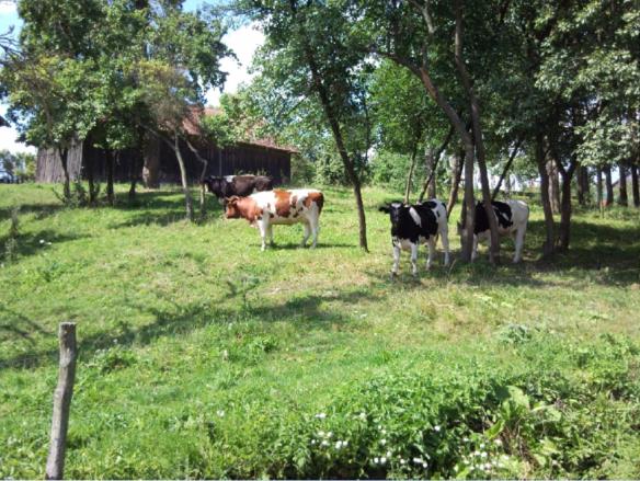 Отель Fajne Miejsce