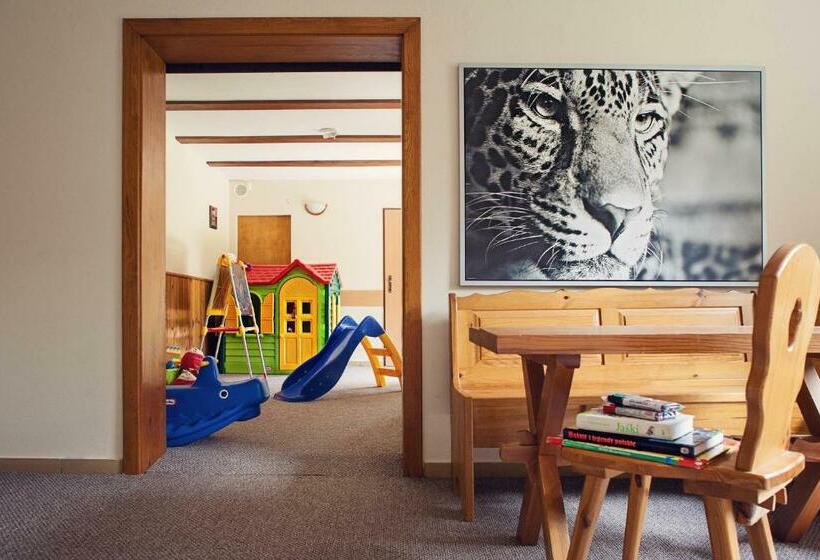 בית מלון כפרי Górski Czarna Góra