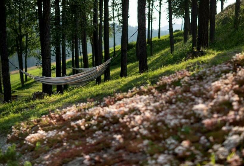 هتل Harnaś Dla Dorosłych Z Widokiem Na Tatry   Adults Only