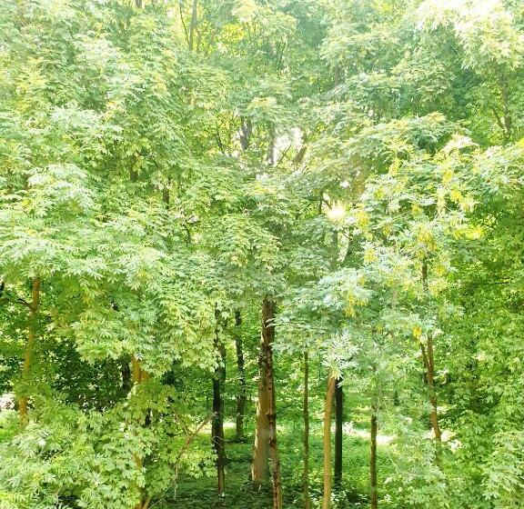 בית מלון כפרי Willa Park