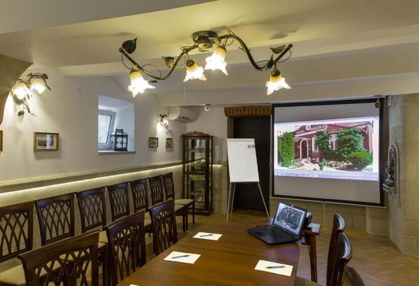 בית מלון כפרי śnieżka