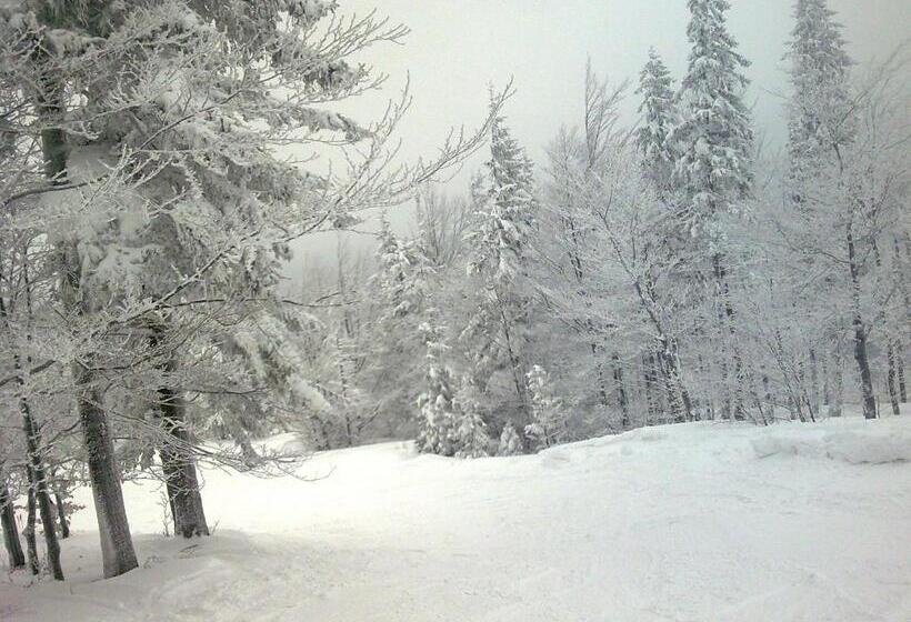 ホテル Pałac Bażantarnia