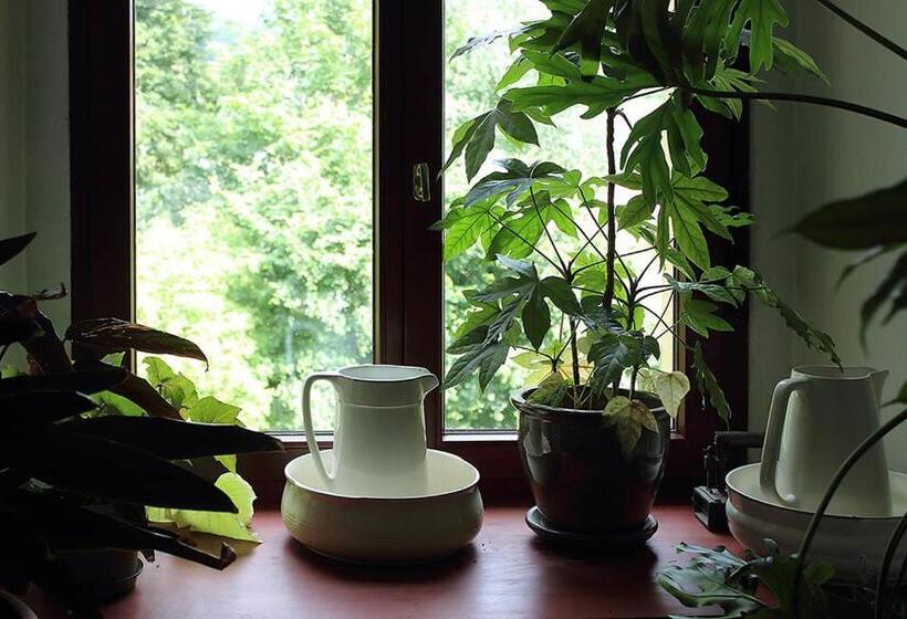 בית מלון כפרי Pałac Kietlin