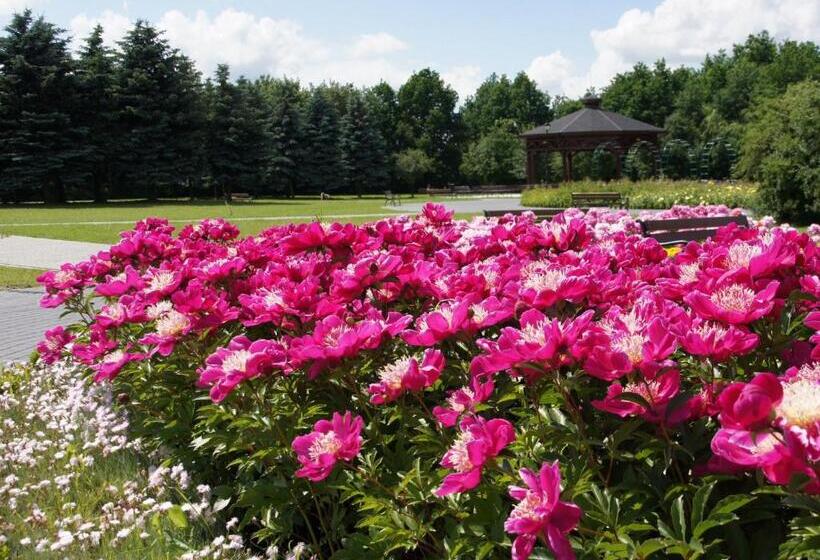 בית מלון כפרי Park