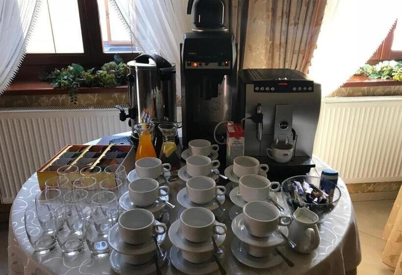 酒店 Restauracja Willa Radwan