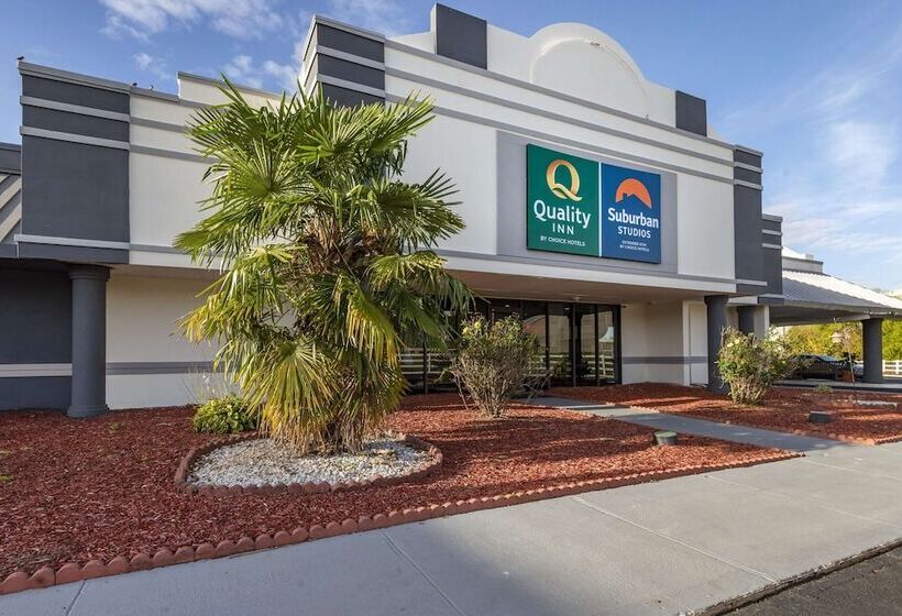 فندق Suburban Studios