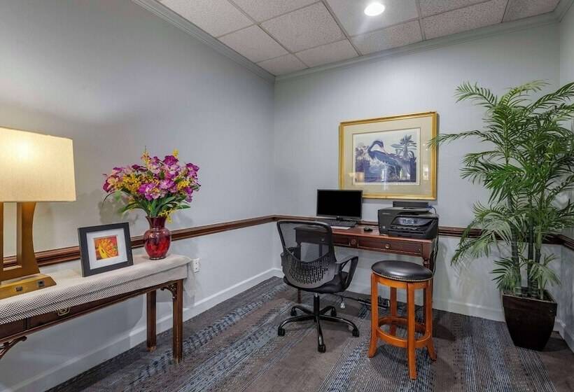 فندق Suburban Studios