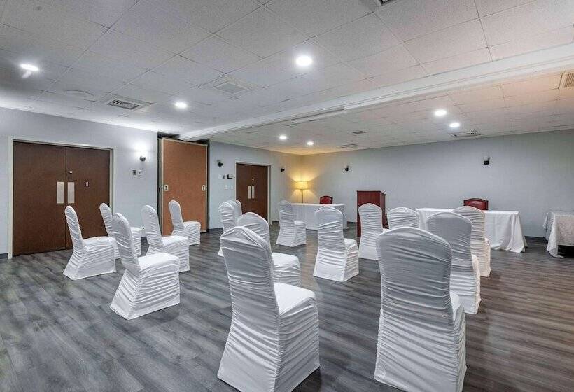 فندق Suburban Studios