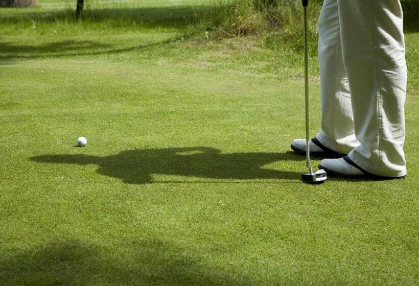 בית מלון כפרי Wityng