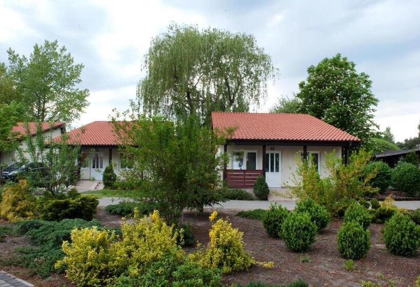 בית מלון כפרי Wityng