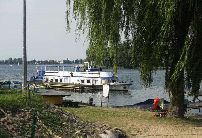 בית מלון כפרי Wityng