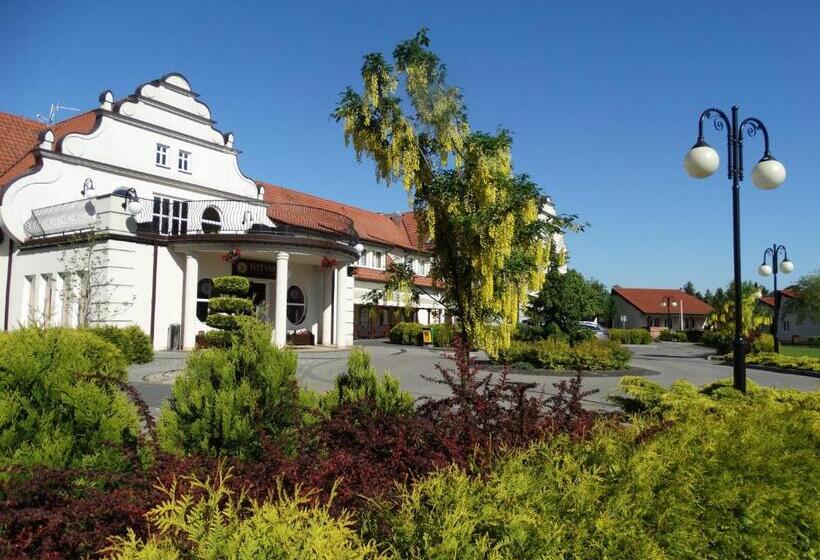 בית מלון כפרי Wityng