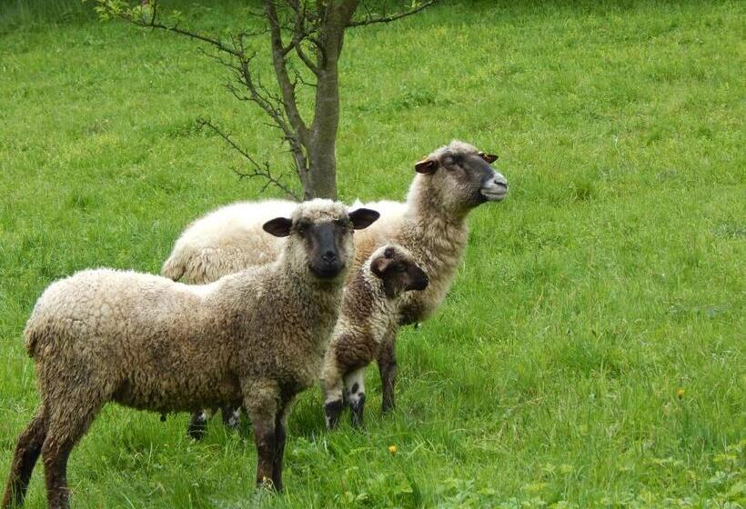 Пансион Miodowy Raj