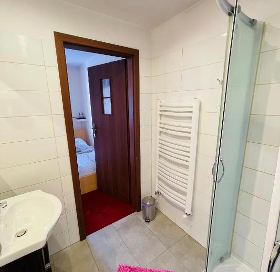 پانسیون Noclegi Airportpark