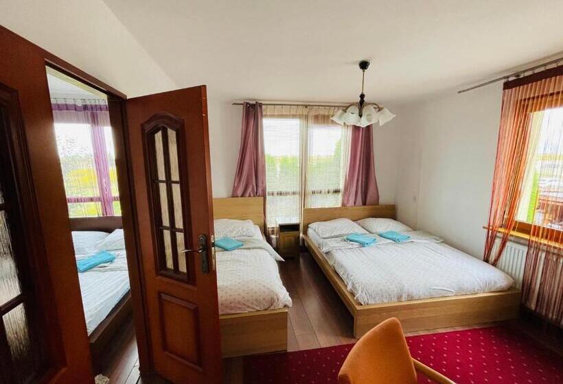 پانسیون Noclegi Airportpark