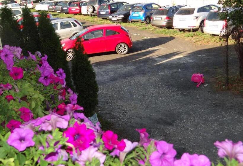 پانسیون Noclegi Airportpark