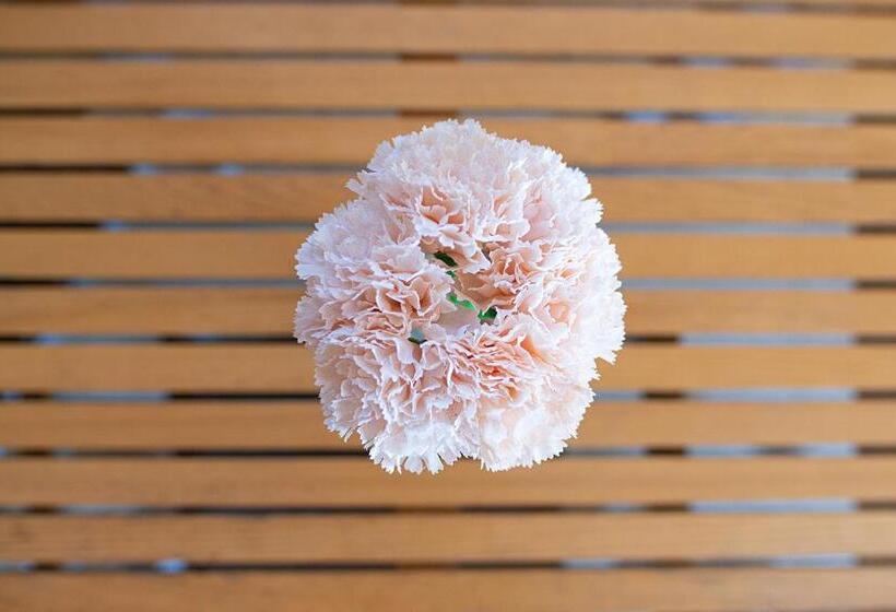 بنسيون Seo Rewal