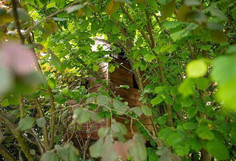 بنسيون Seo Rewal