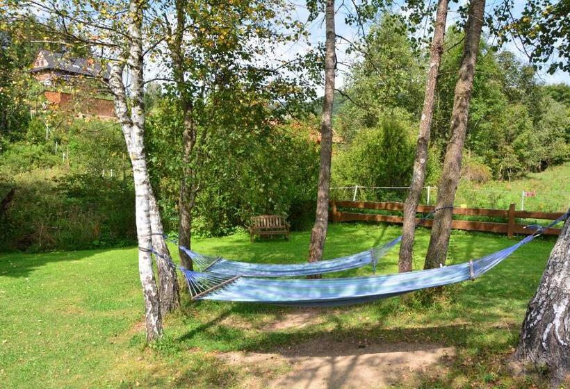 פנסיון Werchowyna