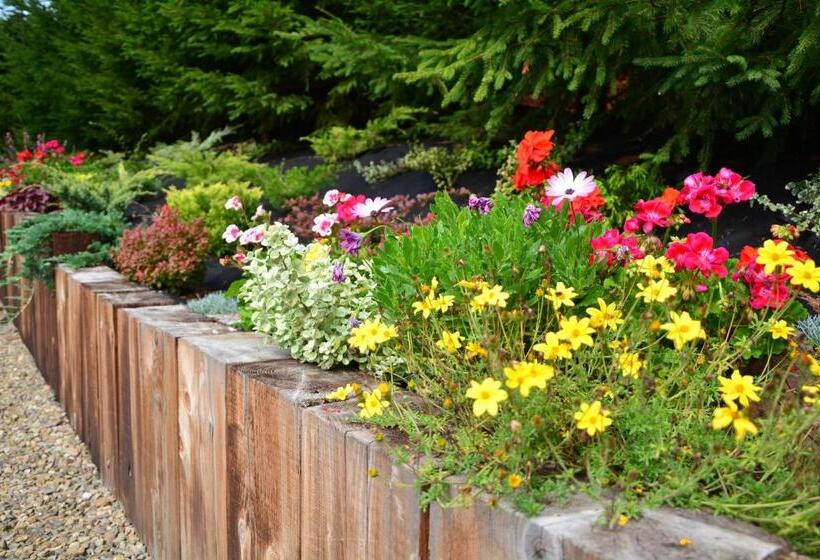 פנסיון Werchowyna