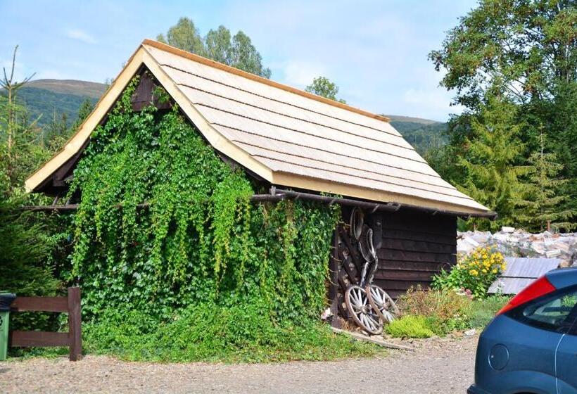 פנסיון Werchowyna