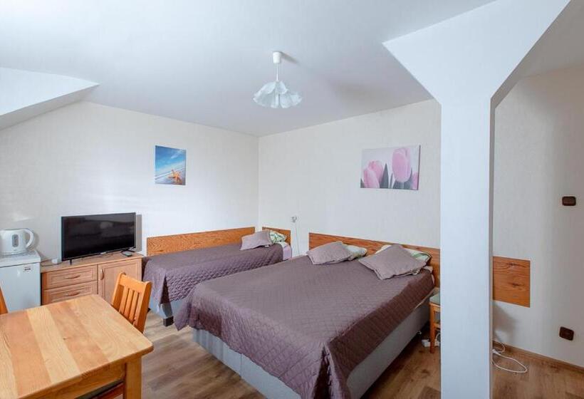 ペンション Willa Bryza