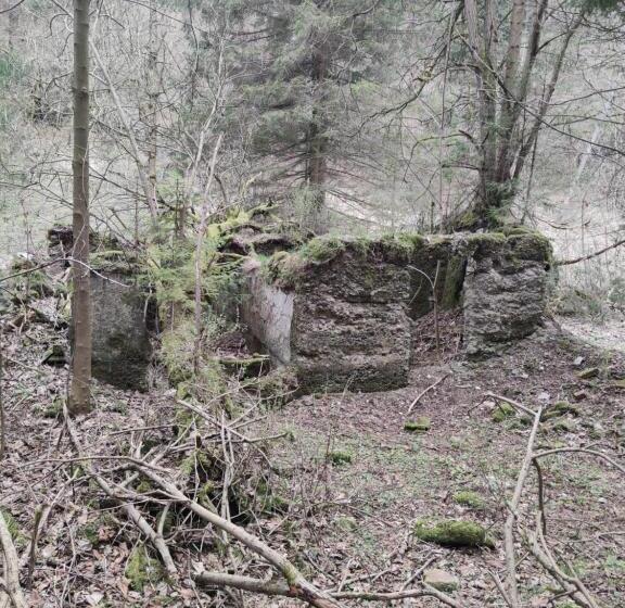 Пансион Willa Janina