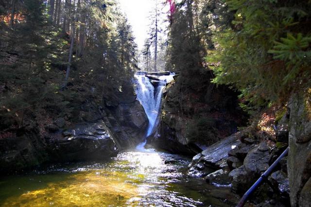 Пансион Willa Nimfa Pokoje I Apartamenty W Centrum