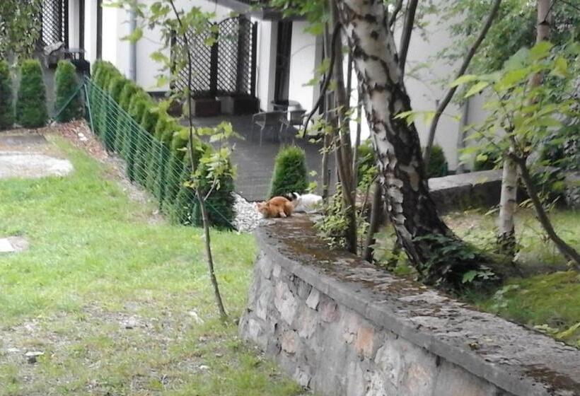 Пансион Willa Nimfa Pokoje I Apartamenty W Centrum