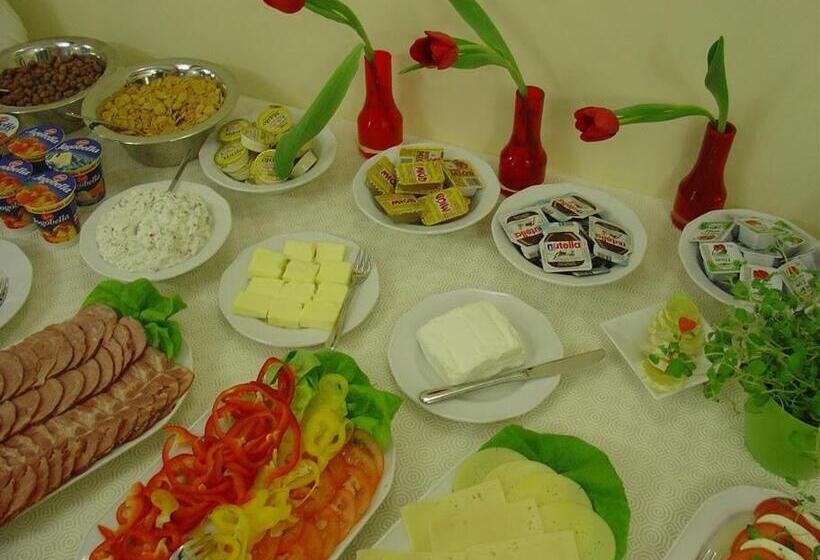 פנסיון Willa Podgórska