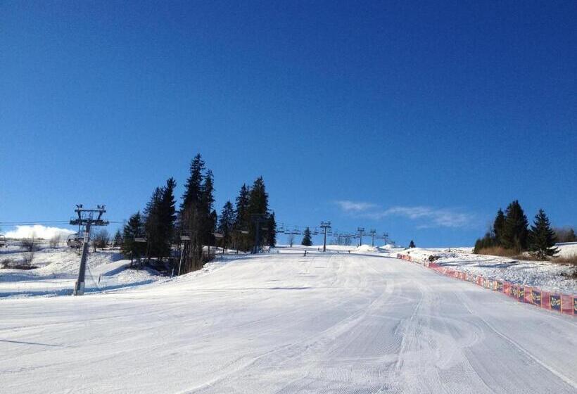 Пансион Witowianka