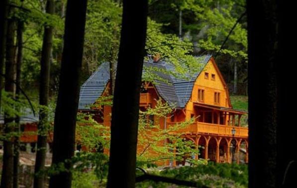 Pensjonat Alpejski Dwór