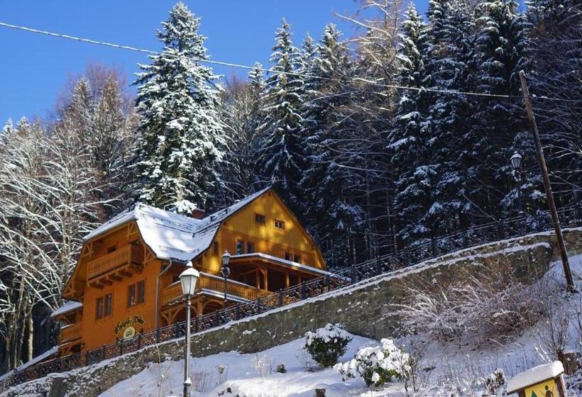Pensjonat Alpejski Dwór