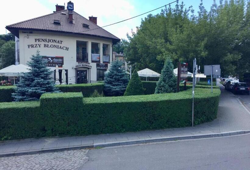 Pensjonat Przy Błoniach